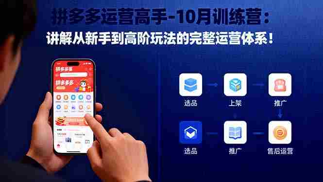 （16448期）拼多多运营高手-10月训练营：讲解从新手到高阶玩法的完整运营体系！-金启