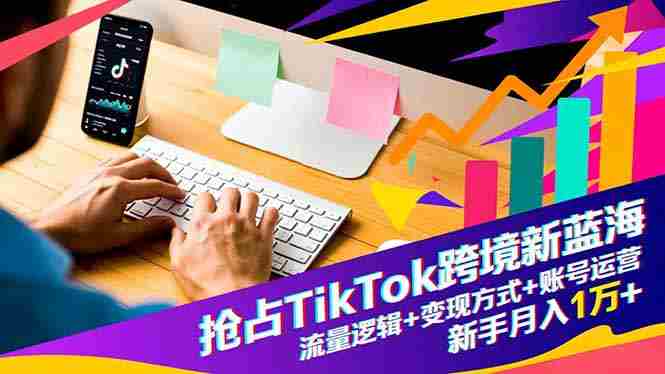 （16640期）抢占TikTok跨境新蓝海：流量逻辑+变现方式+账号运营，新手月入1万+-金启