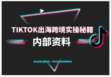 TikTok跨境电商0-1搭建运营,TK出海跨境实操秘籍(10月更新)-金启