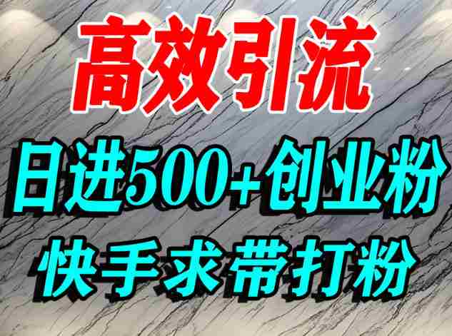 怎么打创业粉？快手求带视角精准引流创业粉，宝妈、学生群体日进500+精准流量-金启