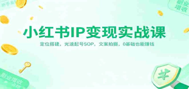 小红书IP变现实战课：定位搭建，光速起号SOP，文案拍摄，0基础也能赚钱-金启