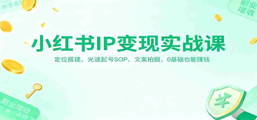 小红书IP变现实战课：定位搭建，光速起号SOP，文案拍摄，0基础也能赚钱-金启
