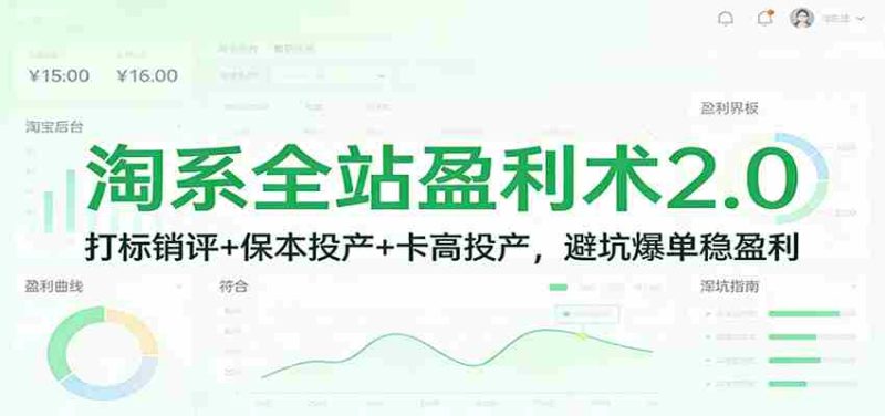 淘系全站盈利术2.0：打标销评+保本投产+卡高投产，避坑爆单稳盈利-金启