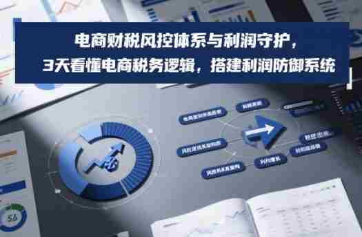 电商财税风控体系与利润守护，3天看懂电商税务逻辑，搭建利润防御系统-金启