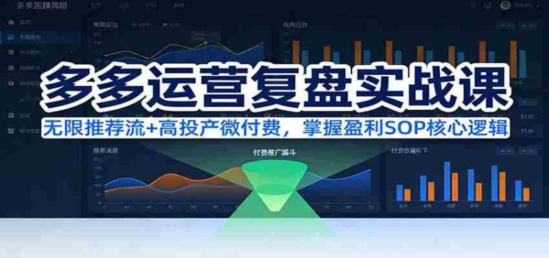 多多运营复盘实战课：无限推荐流+高投产微付费，掌握盈利SOP核心逻辑（更新）-金启