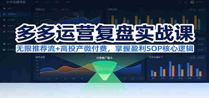 多多运营复盘实战课：无限推荐流+高投产微付费，掌握盈利SOP核心逻辑（更新）-金启