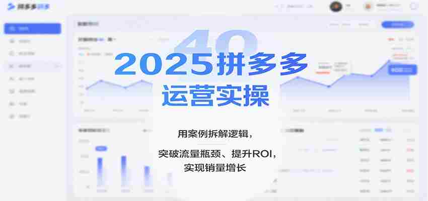 2025拼多多运营实操，用案例拆解逻辑，突破流量瓶颈、提升ROI，实现销量增长（更新）-金启