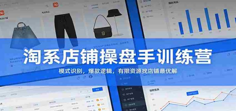 淘系店铺操盘手训练营：模式识别，爆款逻辑，有限资源找店铺最优解-金启