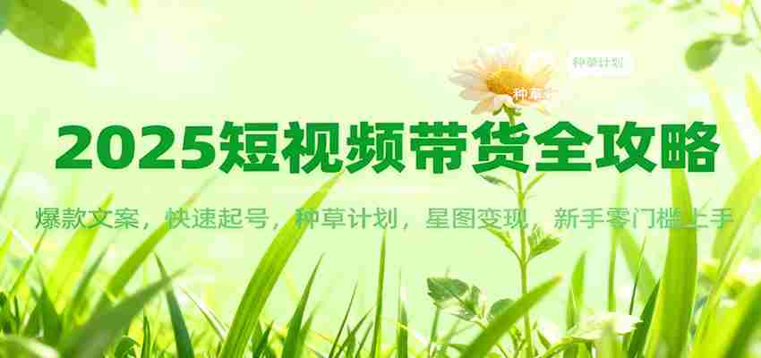2025短视频带货全攻略：爆款文案，快速起号，种草计划，星图变现，新手零门槛上手-金启