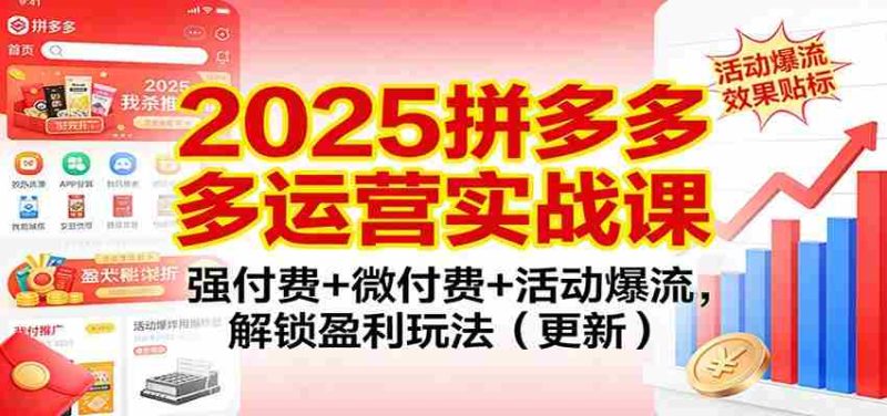 2025拼多多运营实战课：强付费+微付费+活动爆流，解锁盈利玩法（更新）-金启