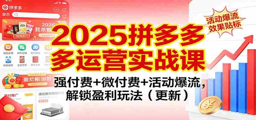 2025拼多多运营实战课：强付费+微付费+活动爆流，解锁盈利玩法（更新）-金启
