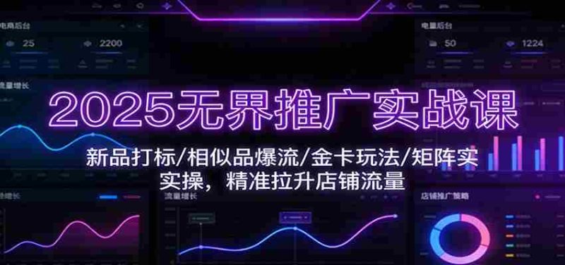 2025无界推广实战课：新品打标/相似品爆流/金卡玩法/矩阵实操，精准拉升店铺流量-金启