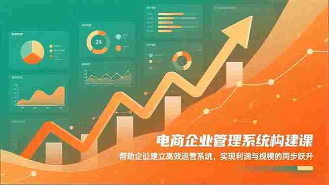（16643期）电商企业管理系统构建课：帮助企业建立高效运营系统，实现利润与规模的同步跃升-金启