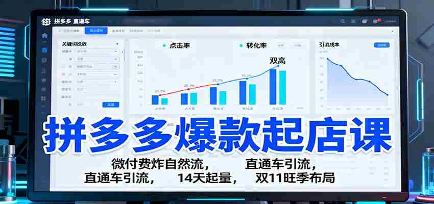 拼多多爆款起店课：微付费炸自然流，直通车引流，14天起量，双11旺季布局-金启