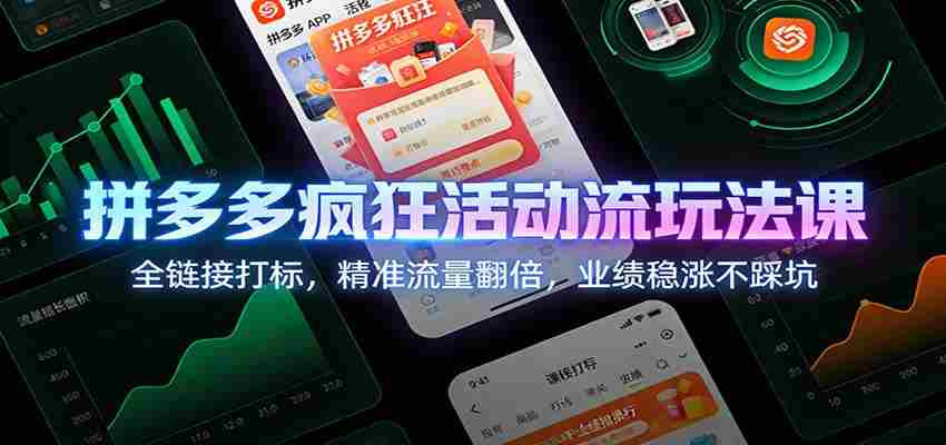 拼多多疯狂活动流玩法课：全链接打标，精准流量翻倍，业绩稳涨不踩坑-金启创业网 - 网上赚钱方法教程大全 - www.jinqi6.top