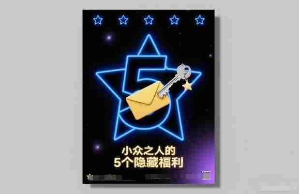付费文章:小众之人的5个隐藏福利
