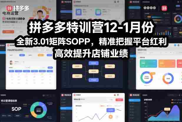 拼多多特训营12-1月份，全新3.01矩阵Sop，精准把握平台红利，高效提升店铺业绩-金启