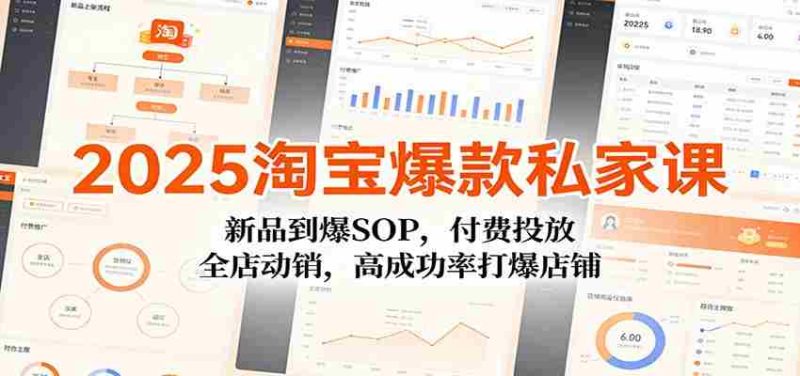 2025淘宝爆款私家课：新品到爆SOP，付费投放，全店动销，高成功率打爆店铺-金启