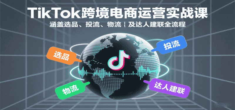 TikTok跨境电商运营实战课:涵盖选品、投流、物流及达人建联全流程-金启