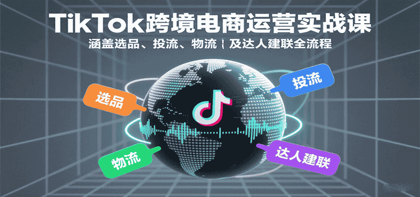 TikTok跨境电商运营实战课：涵盖选品、投流、物流及达人建联全流程-金启