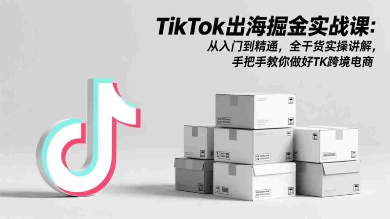 （17368期）TikTok出海掘金实战课：从入门到精通，全干货实操讲解，手把手教你做好TK跨境电商-金启