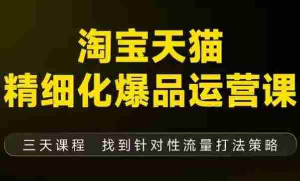 淘宝天猫精细化爆品运营（9月12-14杭州线下课），全方位拆解爆品打造逻辑【音频+字幕+文档】-金启