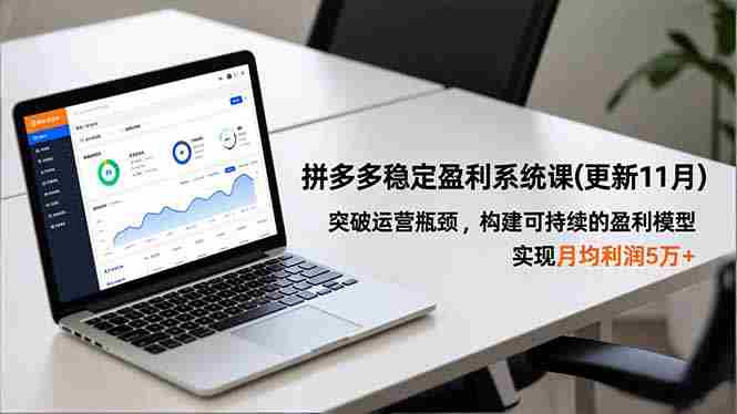 （16641期）拼多多稳定盈利系统课(更新11月)，突破运营瓶颈，构建可持续的盈利模型，实现月均利润5万+-金启