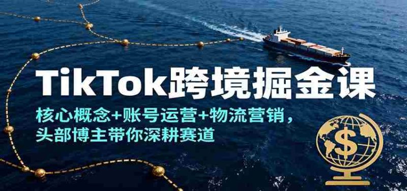 TikTok跨境掘金课，核心概念+账号运营+物流营销，头部博主带你深耕赛道-金启