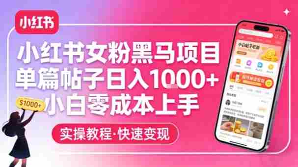 小红书女粉黑马项目,单篇帖子日入1k+,小白零成本上手-金启