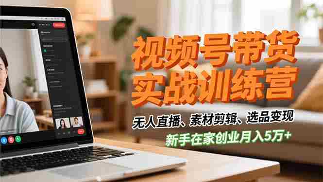 （16762期）视频号带货实战训练营，无人直播、素材剪辑、选品变现，新手在家创业月入5万+-金启