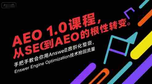 AEO 1.0 课程，从SEO到AE0的基命性转变，手把手教会你用AnswerEngineOptimization技术抢回流量（更新）-金启