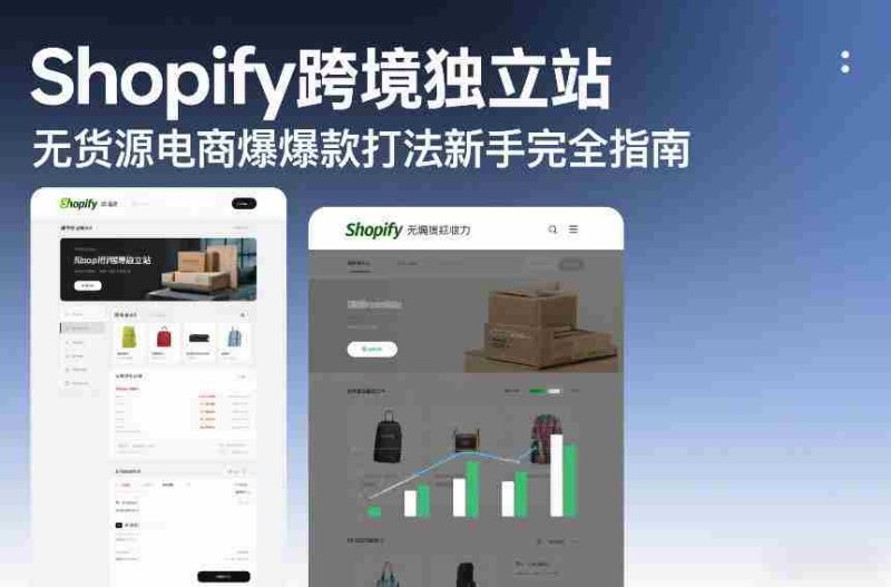 Shopify跨境独立站无货源电商爆款打法新手完全指南-金启
