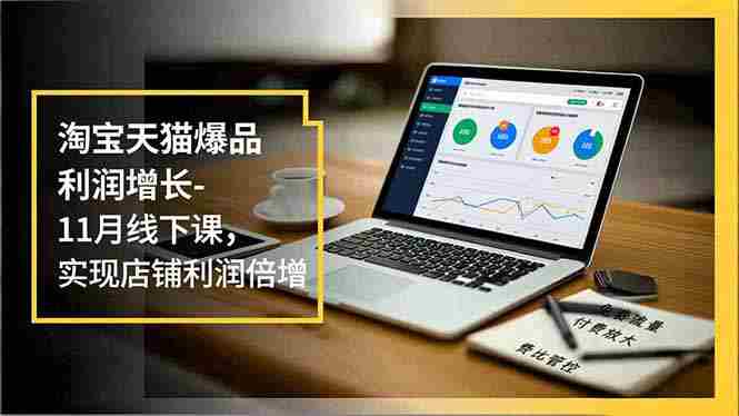 （16824期）淘宝天猫爆品利润增长-11月线下课，免费流量、付费放大、费比管控，实现店铺利润倍增-金启
