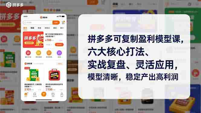（16952期）拼多多可复制盈利模型课，六大核心打法、实战复盘、灵活应用，模型清晰，稳定产出高利润-金启