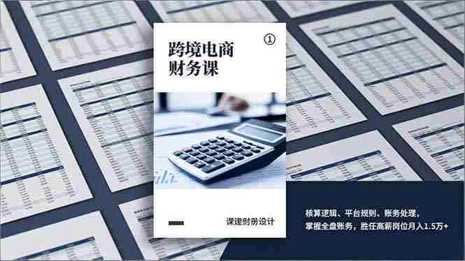 （17036期）跨境电商财务课，核算逻辑、平台规则、账务处理，掌握全盘账务，胜任高薪岗位月入1.5万+-金启
