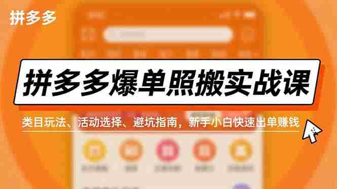 (16838期)拼多多爆单照搬实战课,类目玩法、活动选择、避坑指南,新手小白快速出单赚钱-金启