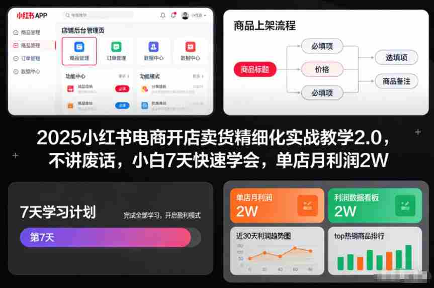 2025小红书电商开店卖货精细化实战教学2.0，不讲废话，小白7天快速学会，单店月利润2W-金启