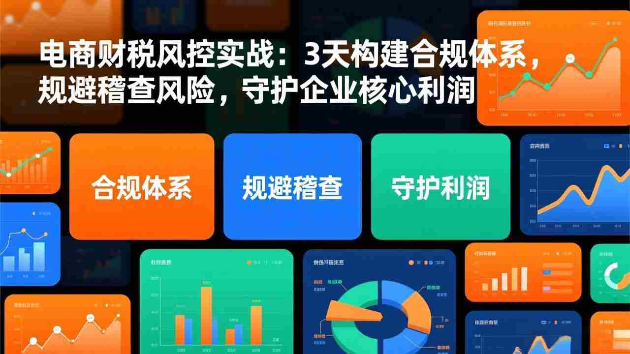 （17197期）电商财税风控实战：3天构建合规体系，规避稽查风险，守护企业核心利润-金启