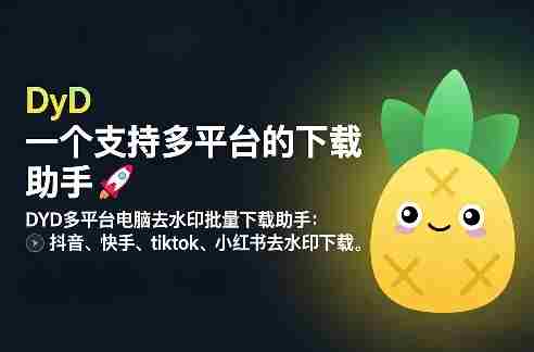 DYD多平台电脑去水印批量下载助手：抖音、快手、tiktok、小红书去水印下载-金启