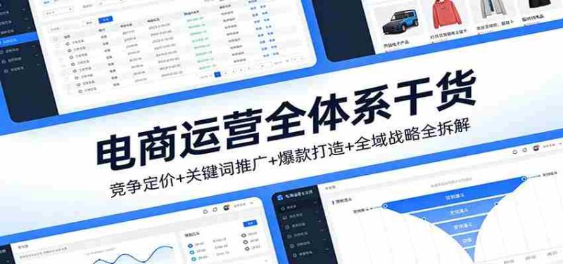 电商运营全体系干货，竞争定价+关键词推广+爆款打造+全域战略全拆解-金启