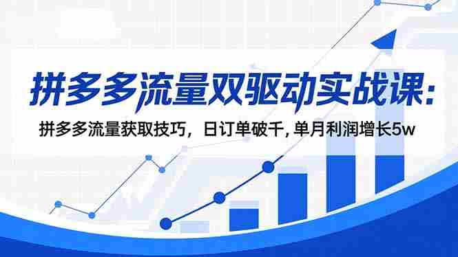 （16563期）拼多多流量双驱动实战课：拼多多流量获取技巧，日订单破千,单月利润增长5w-金启