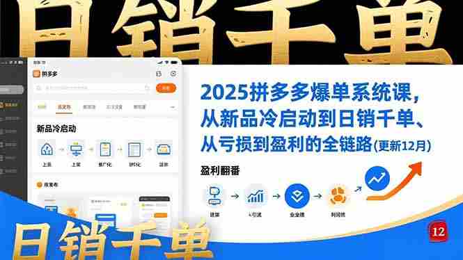 （16894期）2025拼多多爆单系统课，从新品冷启动到日销千单、从亏损到盈利的全链路（更新12月）-金启
