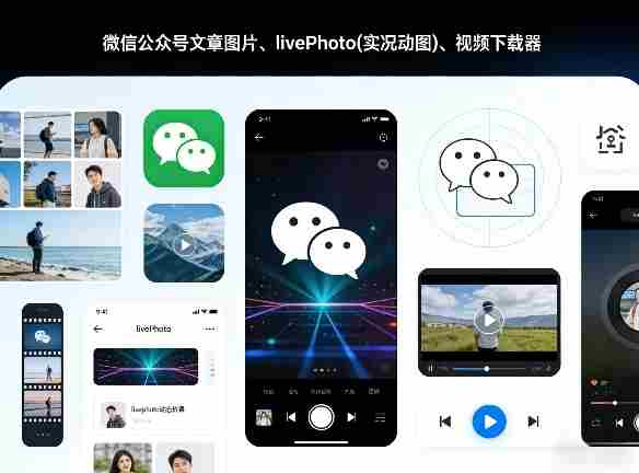 微信公众号文章图片、livePhoto(实况动图)、视频下载器-金启创业网 - 网上赚钱方法教程大全 - www.jinqi6.top