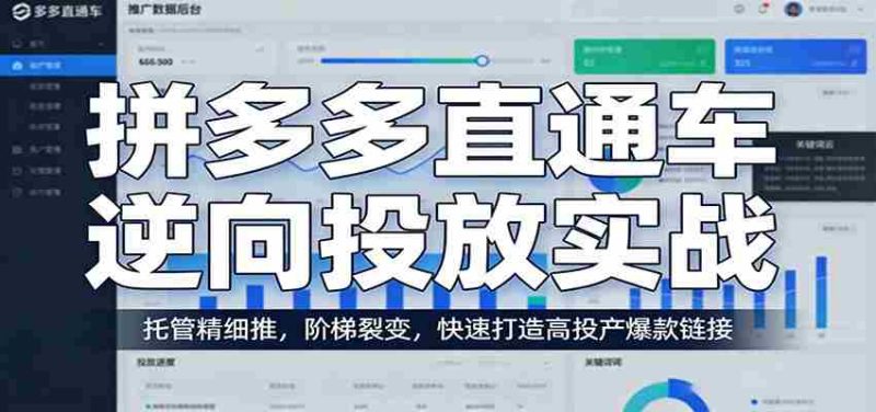 拼多多直通车逆向投放实战：托管精细推，阶梯裂变，快速打造高投产爆款链接-金启创业网 - 网上赚钱方法教程大全 - www.jinqi6.top