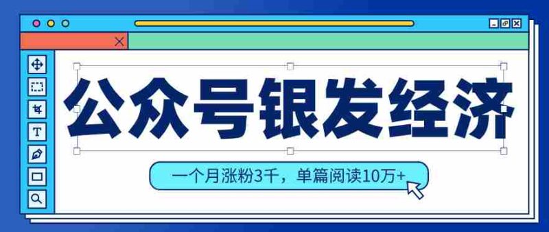 公众号老年哲学鸡汤赛道，一个月涨粉3千，单篇阅读10万+（详细操作教程）-金启创业网 - 网上赚钱方法教程大全 - www.jinqi6.top
