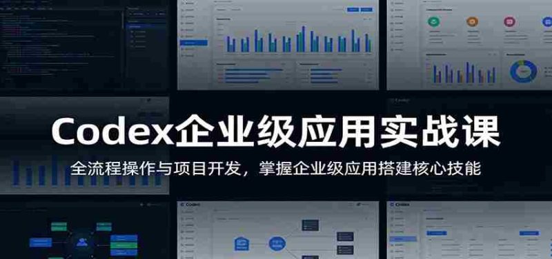 Codex企业级应用实战课：全流程操作与项目开发，掌握企业级应用搭建核心技能-金启创业网 - 网上赚钱方法教程大全 - www.jinqi6.top