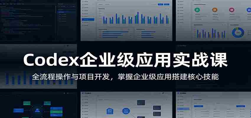 Codex企业级应用实战课：全流程操作与项目开发，掌握企业级应用搭建核心技能-金启创业网 - 网上赚钱方法教程大全 - www.jinqi6.top