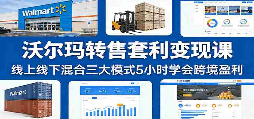 沃尔玛转售套利变现课：线上线下混合三大模式5小时学会跨境盈利-金启