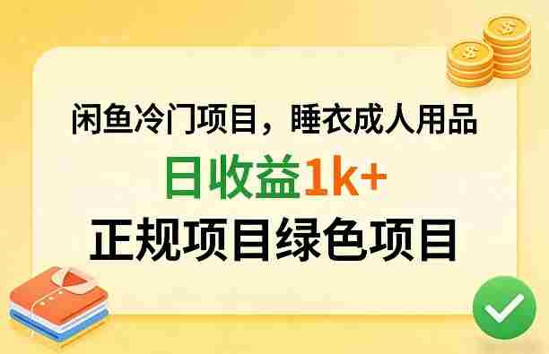 闲鱼冷门项目，情趣内衣成人用品，日收益1k+，正规项目绿色项目-金启创业网 - 网上赚钱方法教程大全 - www.jinqi6.top