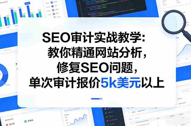 SEO审计实战教学：教你精通网站分析，修复SEO问题，单次审计报价5k美元以上-金启
